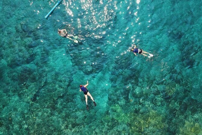 Cozumel El Cielo All Inclusive Tour from Cancun - Palancar Reef: when the scenery turns into the main event