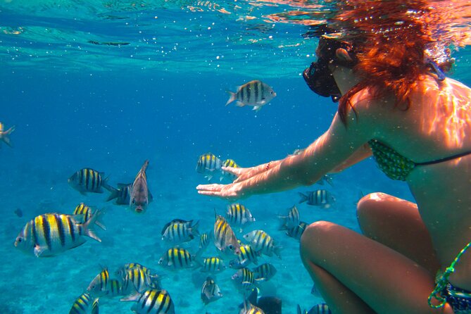 Cozumel El Cielo All Inclusive Tour from Cancun - Food and drinks: what’s included, what needs planning