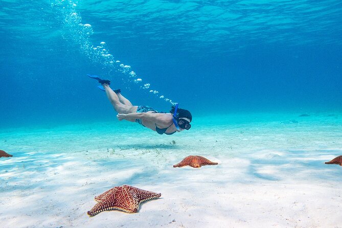 Cozumel Starfish and Tropical Reef Snorkeling by Powerboat with Lunch - El Cielo sandbar starfish stop: what to expect in that heaven spot