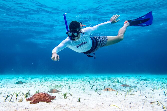 Cozumel Starfish and Tropical Reef Snorkeling by Powerboat with Lunch - Lunch, light snacks, and the in-between time on Cozumel