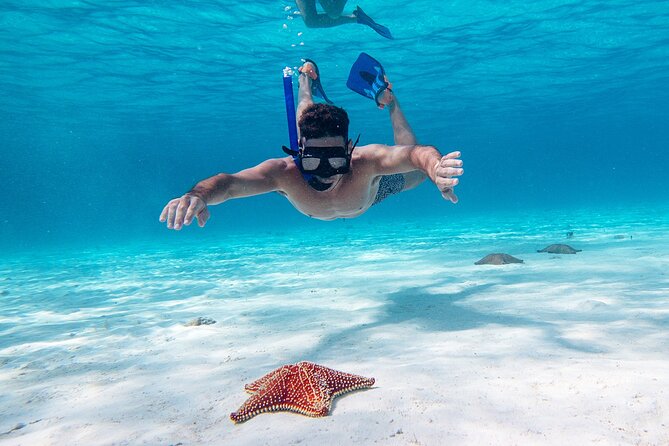 Cozumel Starfish and Tropical Reef Snorkeling by Powerboat with Lunch - Life Jackets, Rash Guards, and easy gear packing