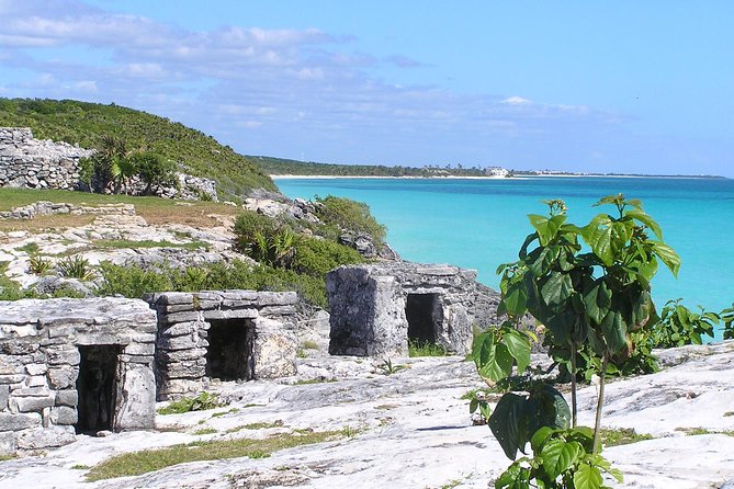 Day Trip to Tulum, Coba and Cenote Maya - Playa del Carmen and Quinta Avenida: quick town time, not a full sightseeing day
