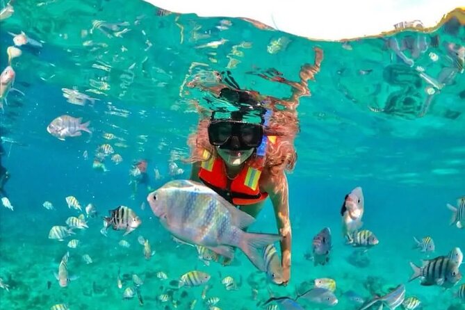 Deluxe Catamaran to Isla Mujeres with Open Bar from Cancun - Stop 1: Isla Mujeres—snorkel time, island wandering, and the beach club buffet
