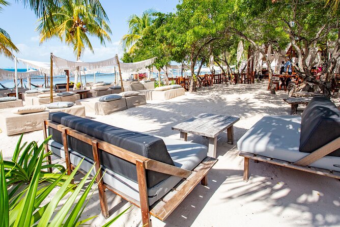 Deluxe Catamaran tour to Isla Mujeres with Open Bar and Lunch - El Meco Reef Snorkeling: Guided Gear and What You Might See