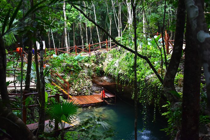 Discover 3 amazing cenotes. Includes transport & snack - Getting to Puerto Morelos: pickup windows that matter