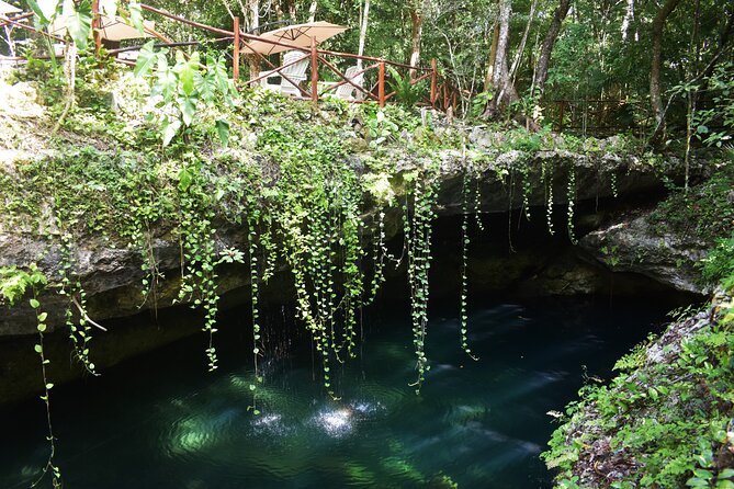 Discover 3 amazing cenotes. Includes transport & snack - Swimming rules and your gear checklist (so you don’t waste time)