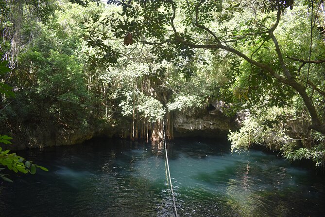 Discover 3 amazing cenotes. Includes transport & snack - Guides and transport: who makes the day feel fun