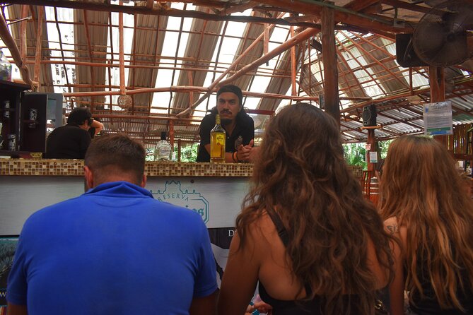 Discover 3 amazing cenotes. Includes transport & snack - What’s included, what’s not, and the small costs that pop up