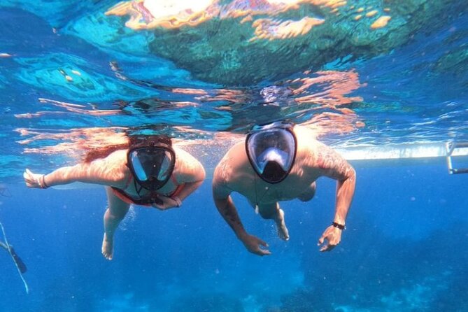 Discover Isla Contoy & Isla Mujeres: Nature, Snorkel & Beaches - Lunch on Isla Contoy: the meal that anchors the day