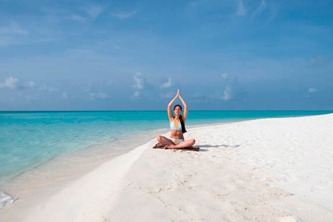 Discover Isla Contoy & Isla Mujeres: Nature, Snorkel & Beaches - Price and value: why $140 can make sense (and when it won’t)