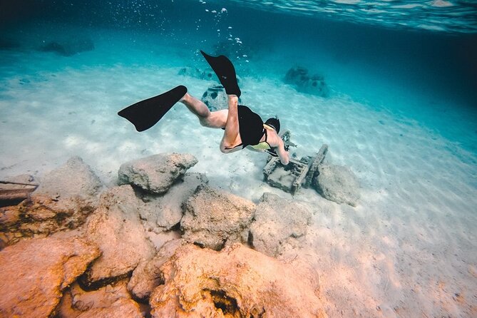 Discover Isla Contoy & Isla Mujeres: Nature, Snorkel & Beaches - Comfort prep: what to pack for real island time