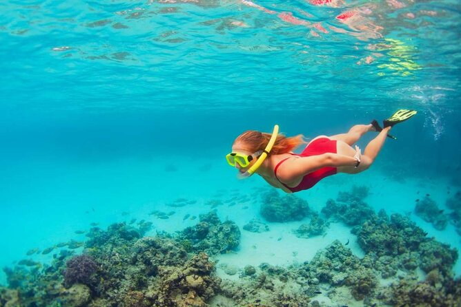 Discover Isla Contoy & Isla Mujeres: Nature, Snorkel & Beaches - Should you book: a quick call based on what you want most