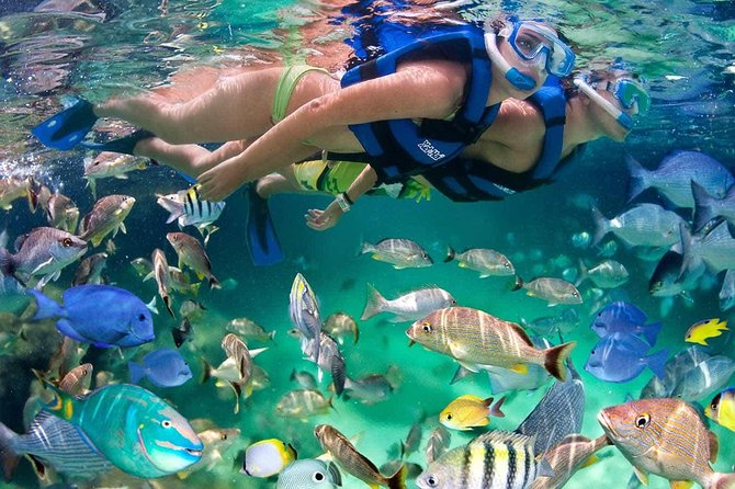Discover Isla Mujeres tour with snorkel, buffet and open bar - Logistics That Matter: Where You Go, How Long You Stay