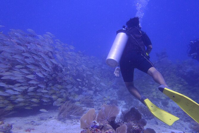 Discover Scuba - Stop 1: National Reef Park of Puerto Morelos (what you’re really signing up for)