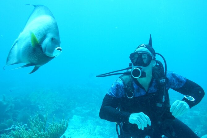 Discover Scuba - Stop 2: the Wet Set base (gear up, adjust, and get comfortable)
