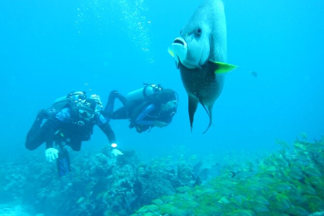 Discover Scuba - Safety and health rules you should plan for (not just read and ignore)