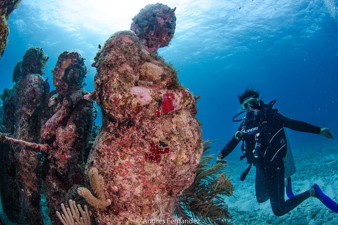 Discover scuba ,MUSA and Manchones reef dive without license - Price and value: what $201.95 includes, and what you should budget extra