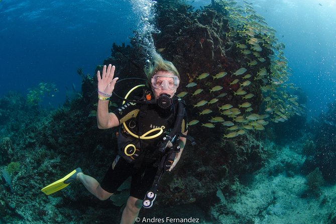 Discover scuba ,MUSA and Manchones reef dive without license - Instruction style: why the name-dropping matters (Andrés, Jesús, Lucy)