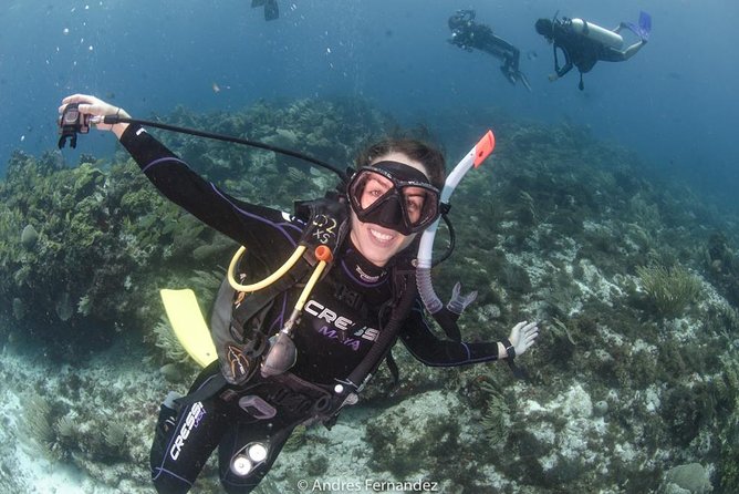 Discover scuba ,MUSA and Manchones reef dive without license - Training day flow: briefing, gear, and the 6-meter limit