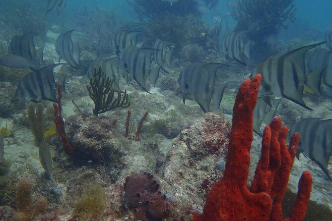 Discover Scuba - How your roughly 3-hour schedule plays out (and why timing matters)