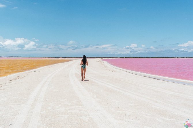 Discover the FABULOUS PINK WATERS in the Caribean - Rio Lagartos biosphere reserve: mangroves, birds, and crocodile territory