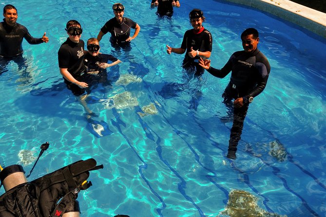 Discovery Scuba Diving !! - Reef Time in Puerto Morelos: What You Can Expect Underwater