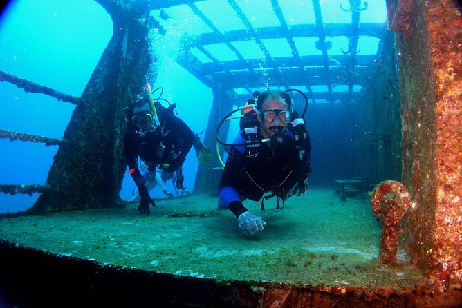 Diving in Cancun for Certified Divers | 2 Dives | All Inclusive - Two Underwater Stops in Cancun: Why MUSA Plus Reefs Works