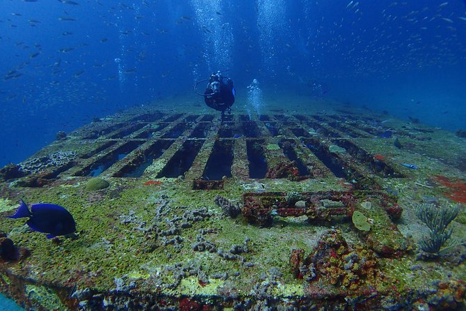 Diving in Cancun for Certified Divers | 2 Dives | All Inclusive - Certified-Scuba Requirement: Who This Is For