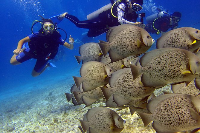 Diving in the Mexican Caribbean for Beginners | 2 Tanks 2 Dives | All Inclusive - MUSA Underwater Museum: 33 ft and 400 Sculptures