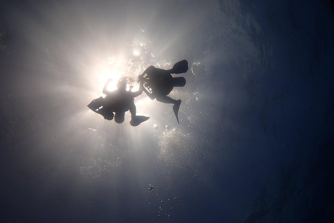 Diving in the Mexican Caribbean for Beginners | 2 Tanks 2 Dives | All Inclusive - Natural Reef Second Session: Where You Practice Calm Control