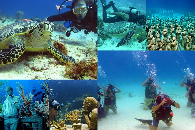 Diving + Muse - Price and value: what $154 gets you (and what can add up)