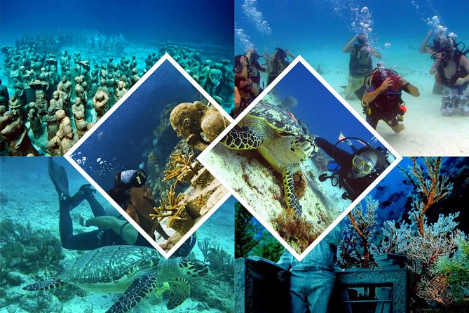 Diving + Muse - English-led and small-group logistics: what you’ll feel during the day