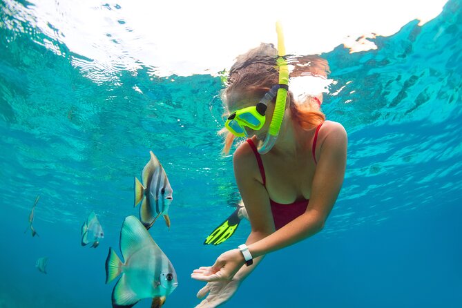 Drive an Speedboat + Mayan Ritual + Food Tasting and More! - Mayan Ceremony Moments: More Than a Photo Stop