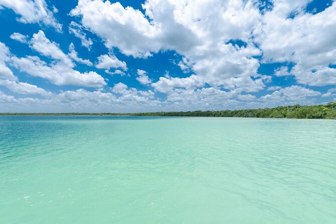 Eco Adventure At 3 Cenotes & 1 Lagoon ! From Cancun & Riviera - Stop 2: Cenote Zemway—open cenote vibes with Mayan spiritual meaning