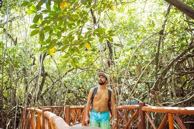 Eco Park Casa Tortuga Cenotes and Tulum Ruins! Riviera Maya Round Transportation - Mother Nature Monument and Tulum Letters: Quick Stops With Photo Timing