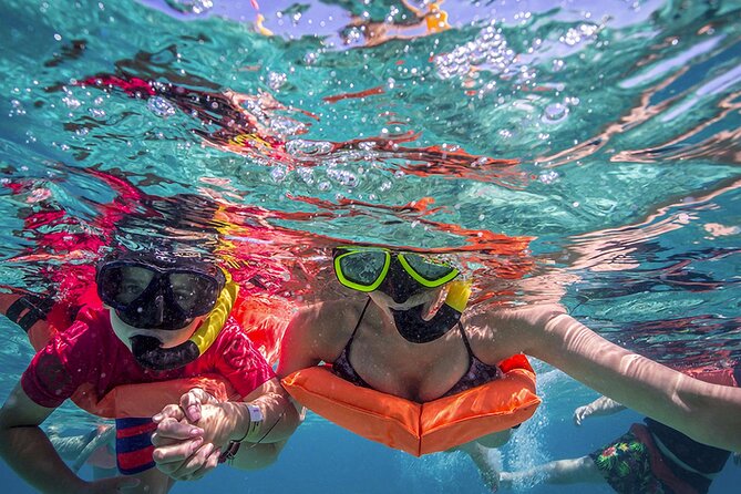 Eco Whale Shark Encounter - When you might want to choose a different day