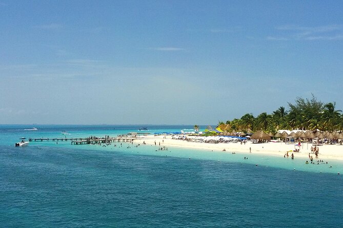 Eco Whale Shark Encounter - Isla Contoy whale shark time: what “2 to 3 entries” means for you