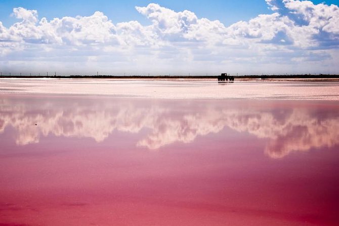 Ek Balam, Rio Lagartos and Las Coloradas Private Tour from Cancun - Why This Private Day Works: Three Places, One Clean Flow