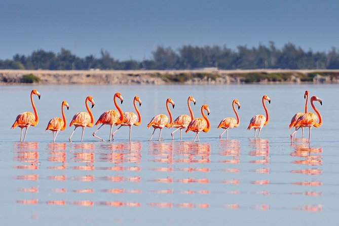 Ek Balam, Rio Lagartos and Las Coloradas Private Tour from Cancun - Las Coloradas Pink Lakes: Salt, Minerals, and a Dead Sea Vibe