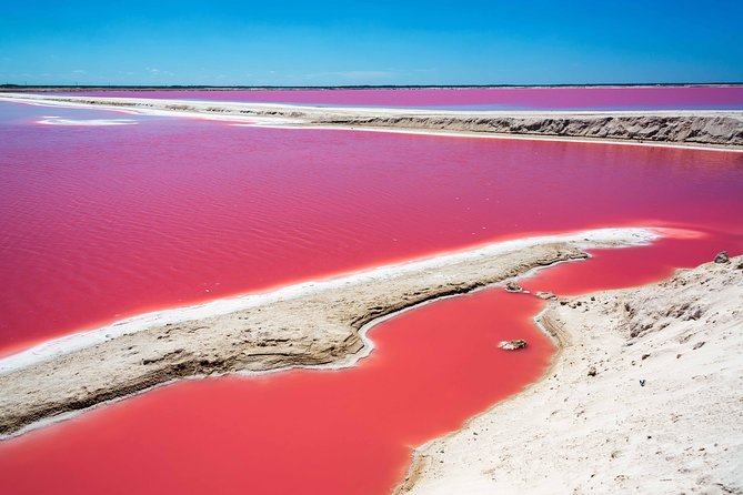 Ek Balam, Rio Lagartos and Las Coloradas Private Tour from Cancun - Ek Balam: Climbing the Acropolis and Reading the Symbols
