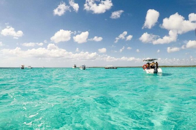 El cielo Cozumel From Cancún and round Transfer with Lunch - Cozumel Free Time and Restaurante Toros: How to Use Your 2 Hours