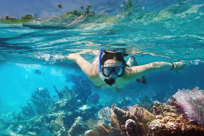 El cielo Cozumel From Cancún and round Transfer with Lunch - Price and Value: What $77 Includes (and What Costs Extra)