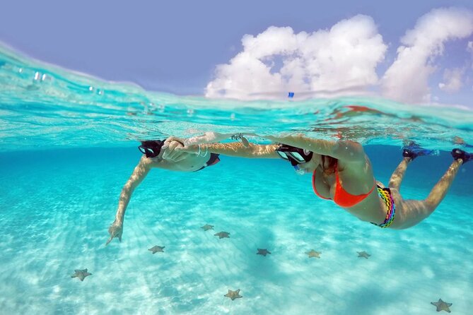 El cielo Cozumel From Cancún and round Transfer with Lunch - Who This Tour Fits Best (and Who Might Want a Different Plan)