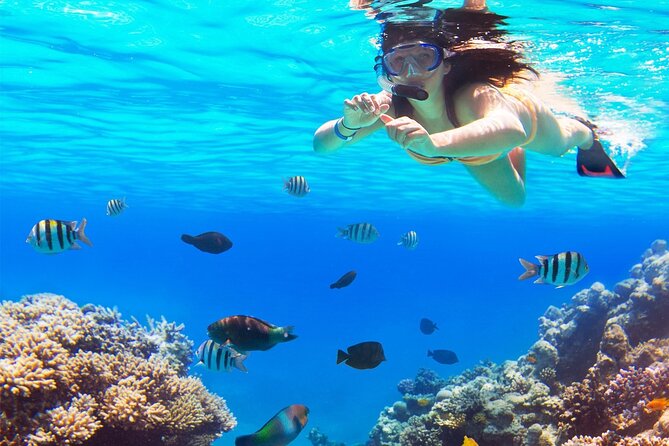 El cielo Cozumel From Cancún and round Transfer with Lunch - Drinks, Lunch, and the Reality of Snorkel Energy