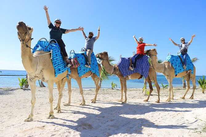 ENJOY UNIQUE CAMEL RIDE in Puerto Morelos with Transportation - The 45-minute camel caravan: what happens once you mount