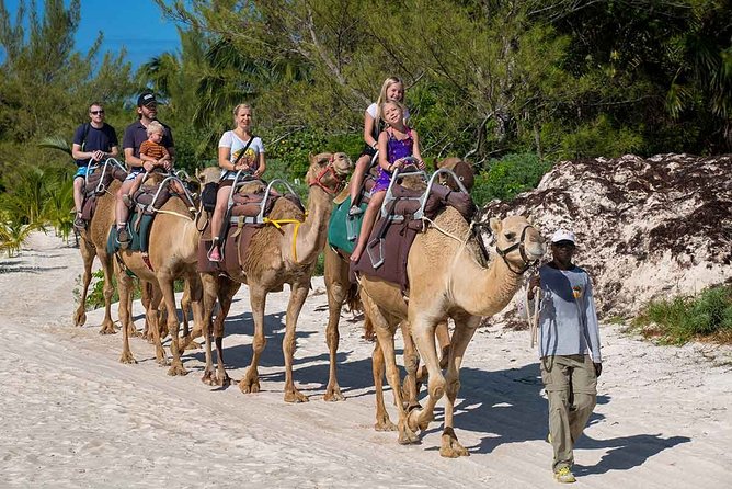 ENJOY UNIQUE CAMEL RIDE in Puerto Morelos with Transportation - Beach club time at El Dorado Maroma: where it can shine (and where it can frustrate)