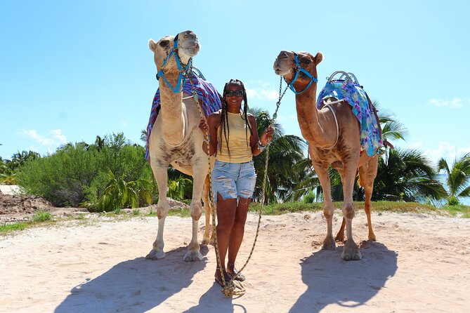 ENJOY UNIQUE CAMEL RIDE in Puerto Morelos with Transportation - Who should book this camel ride (and who should skip it)