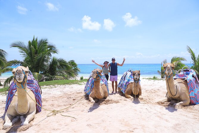 ENJOY UNIQUE CAMEL RIDE in Puerto Morelos with Transportation - Safety, guides, and the “tip moment” reality