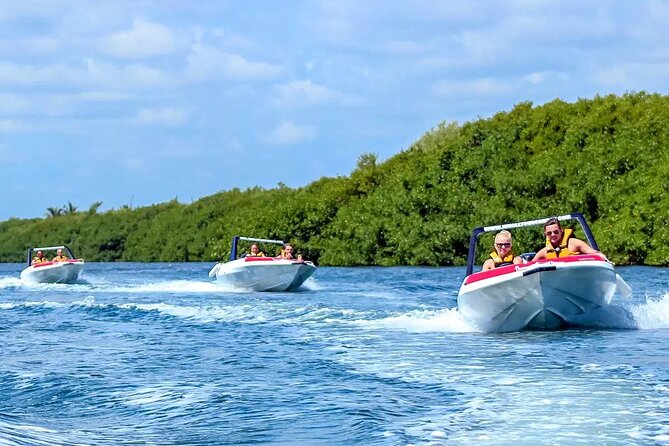 Exciting Speedboat & Snorkeling Tour in Cancun Lagoon! - Snorkeling at the Mayan Reef: what to expect (and when it changes)