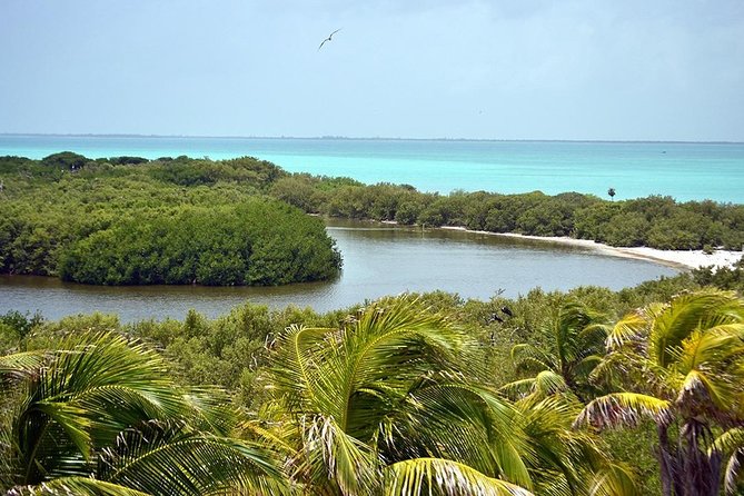 Excursion Isla Contoy & Isla Mujeres from Cancun - Price and fees: what you’re really paying for